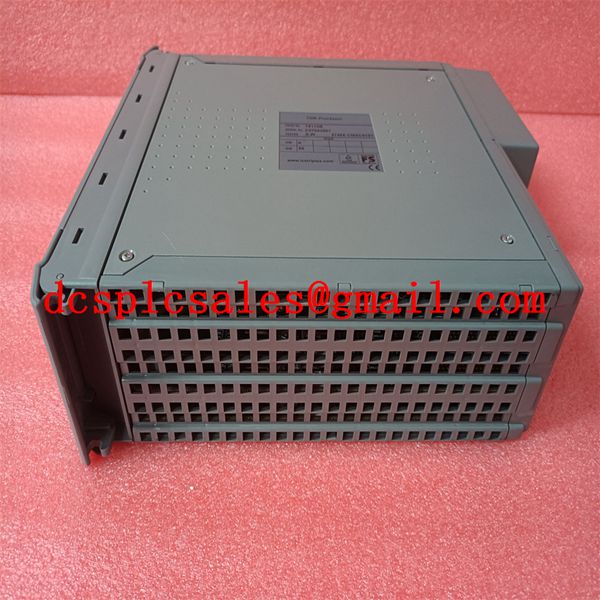 ICS TRIPLEX T8311 分布式文件系统的测量