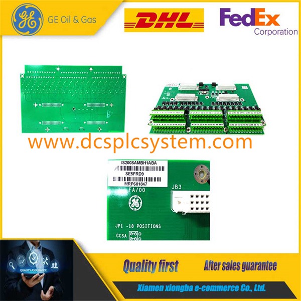 DS200DPCAG1A  每个端子板中有3根电线